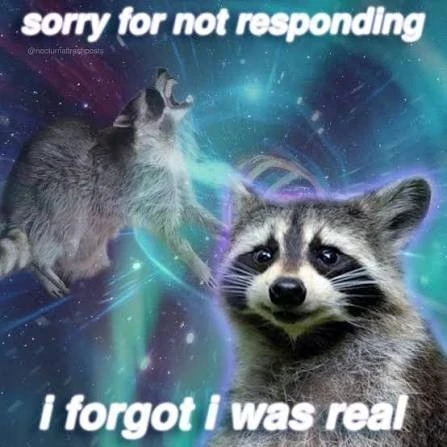 Raccoons