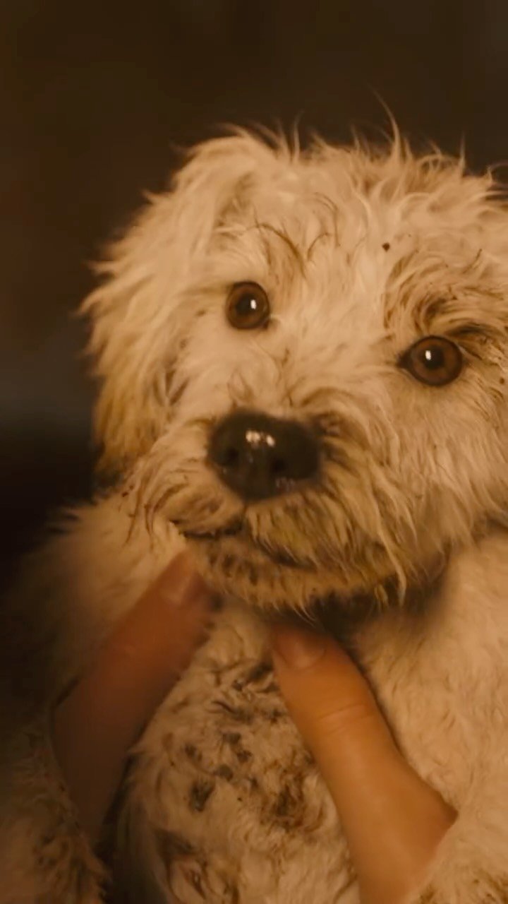 Krypto