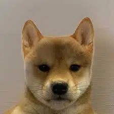 Achi