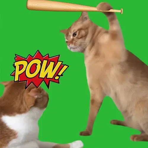 POW