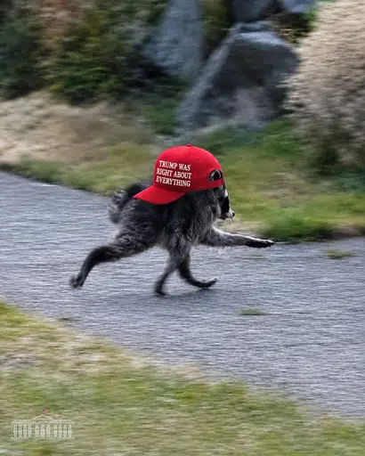 JIMOTHY