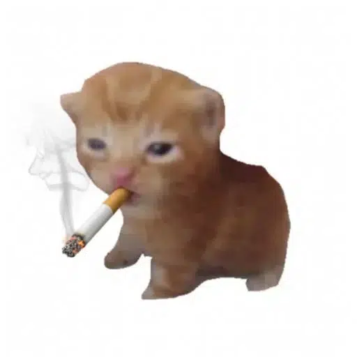 cig