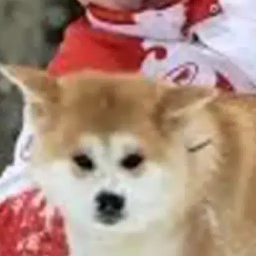 Юмэ