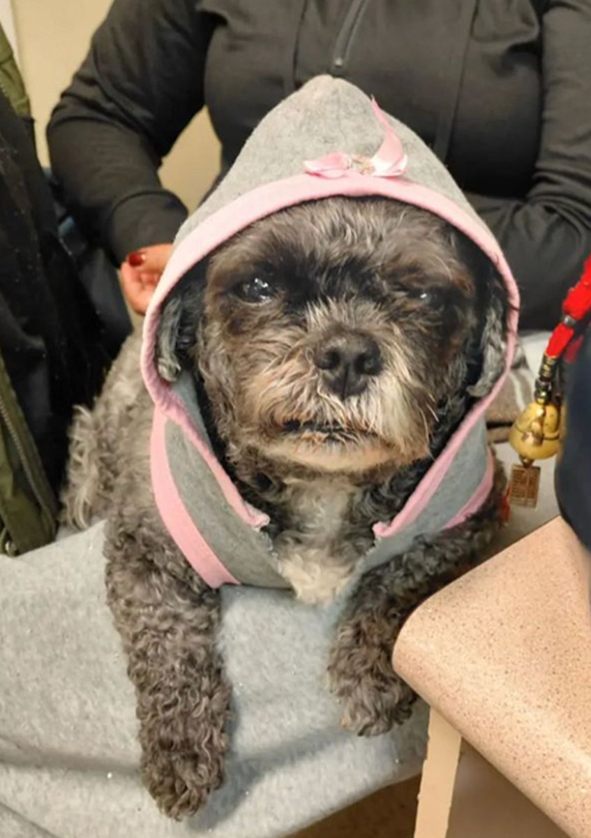 Lady — recently traded by Teddy on Solana