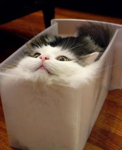 LCAT