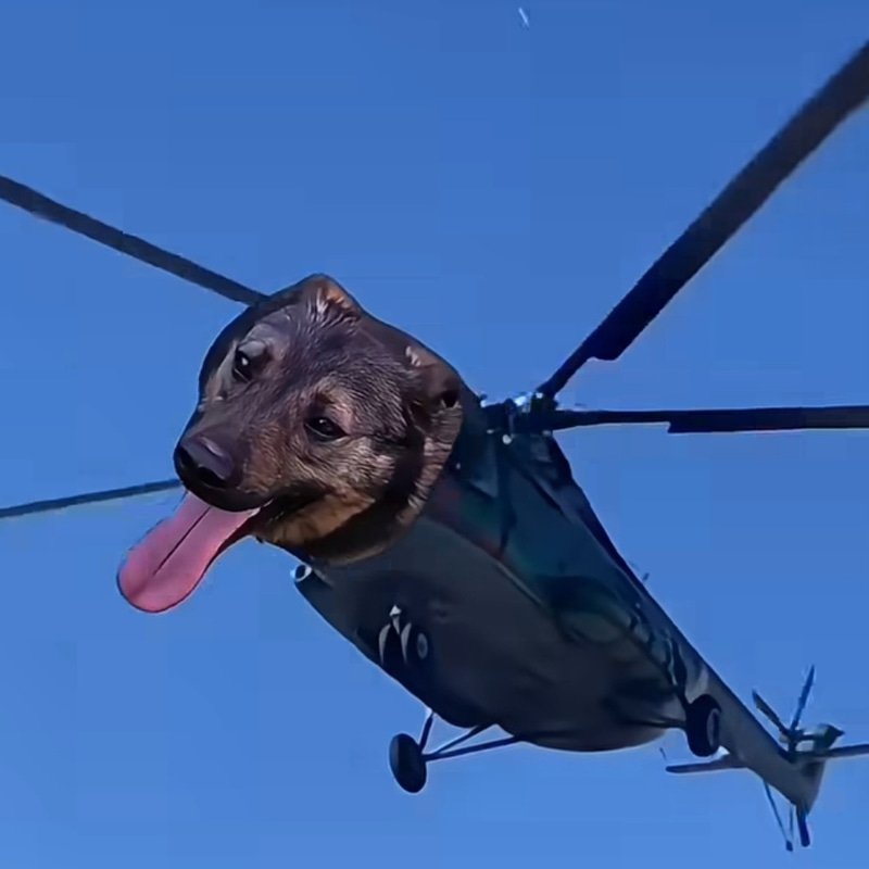 HELIDOG logo