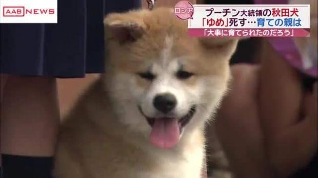 YUME