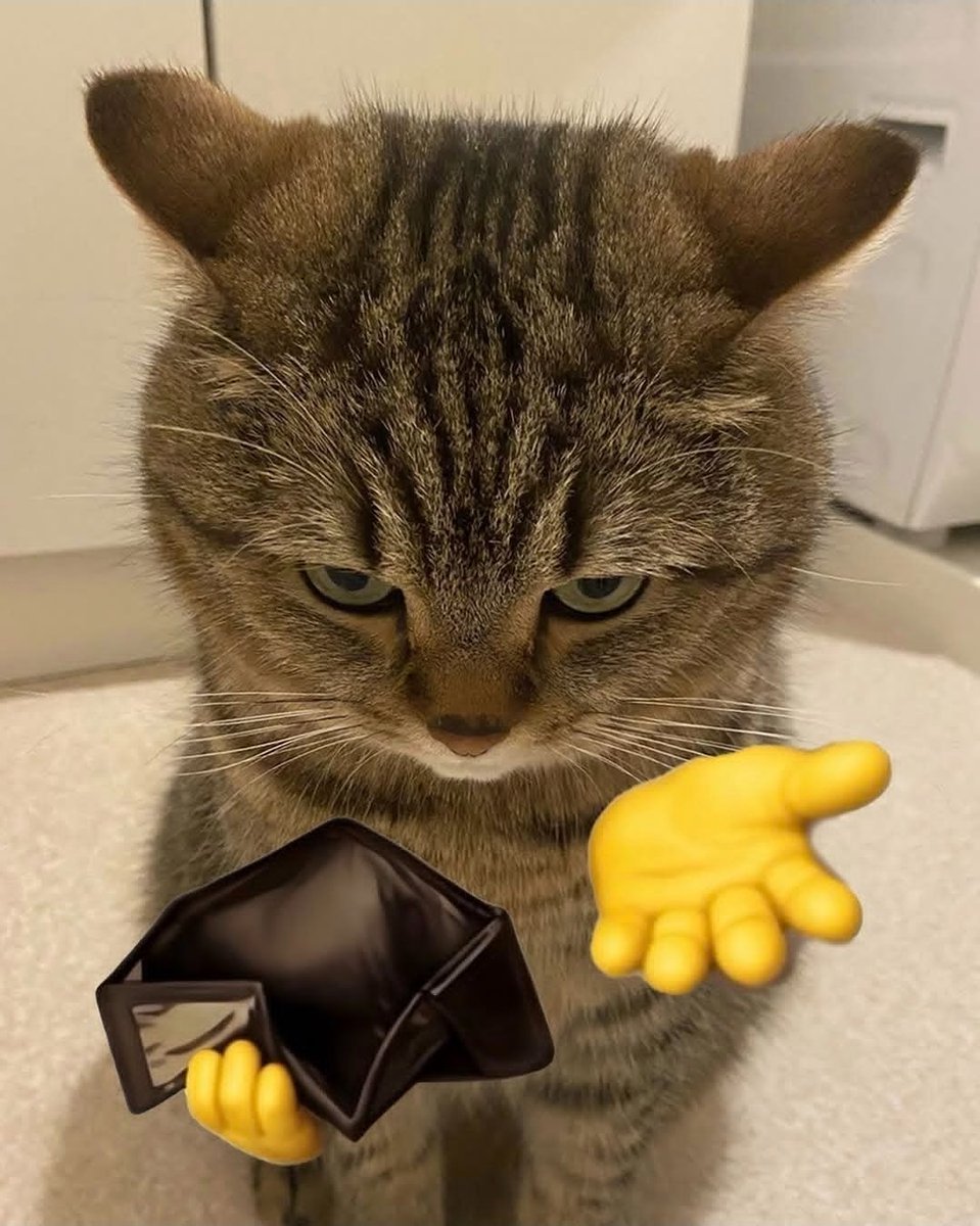 gibcat