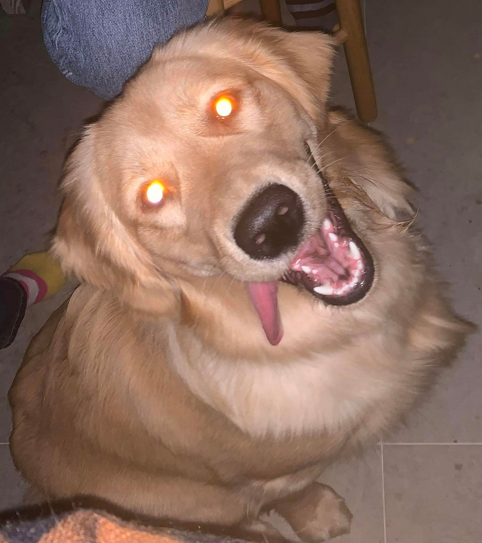 LOLA