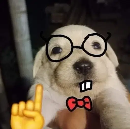 ☝️🤓