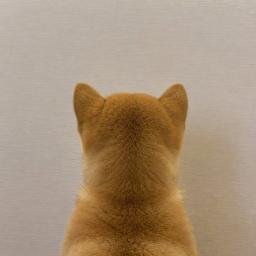 back