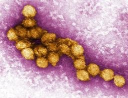 West Nile