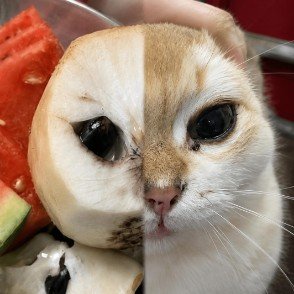 Catemoya