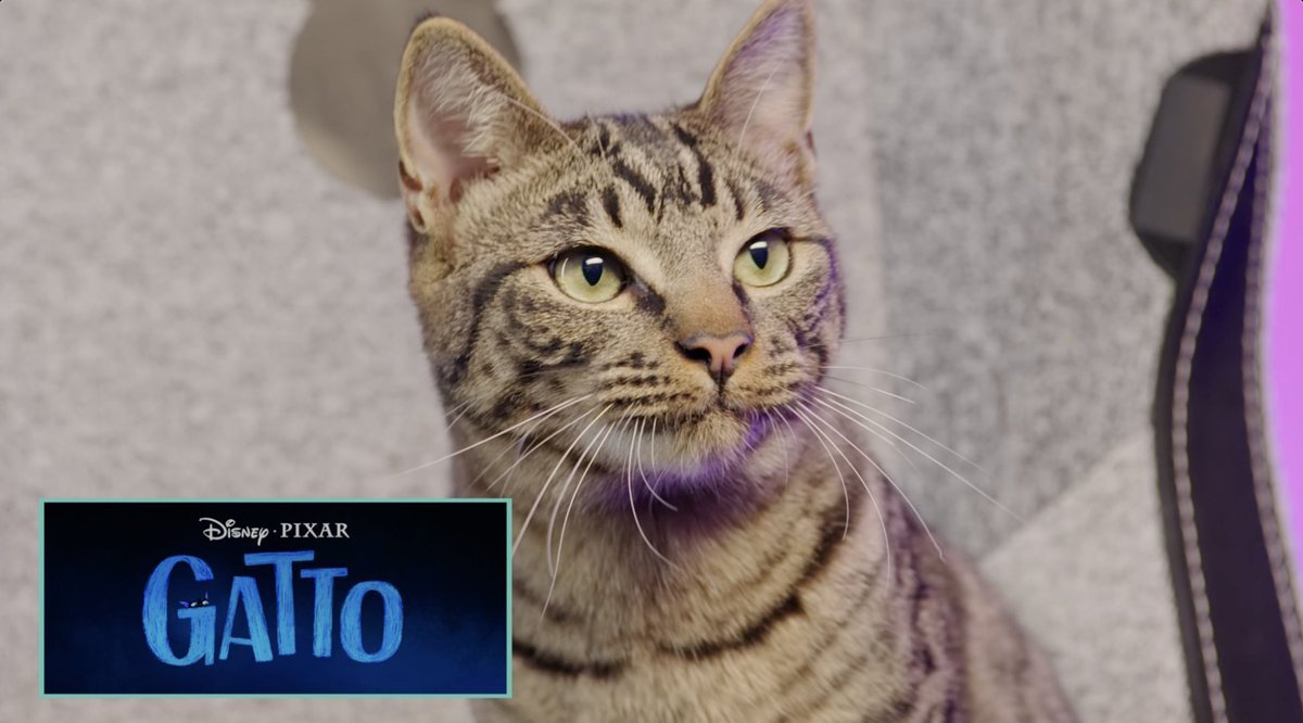 GATTO