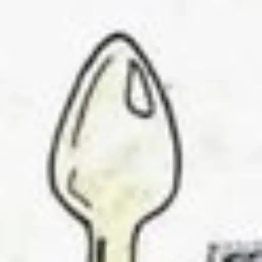 INURANUS logo