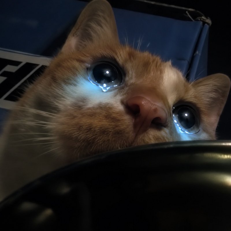 SOB