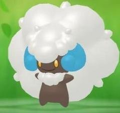 Whimsicott