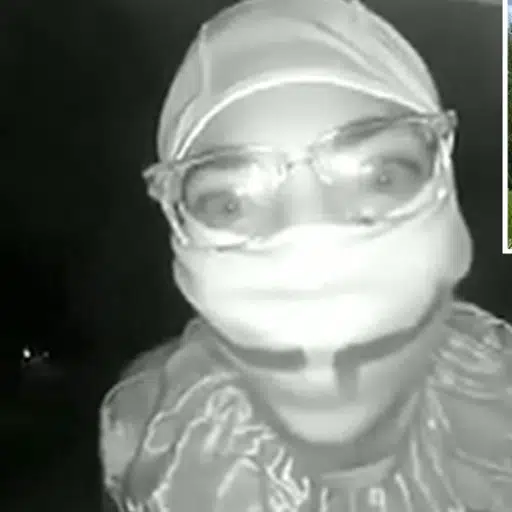 Clown