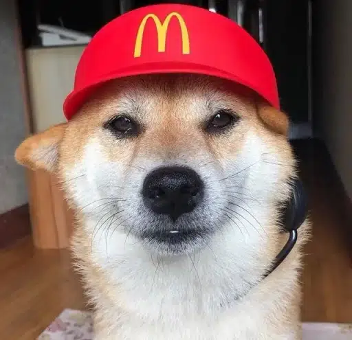 JobInu