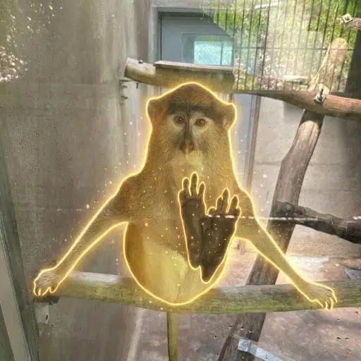Patas