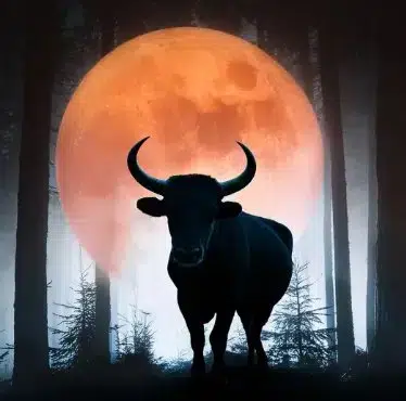 BULLMOON