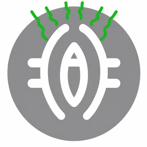 RVF