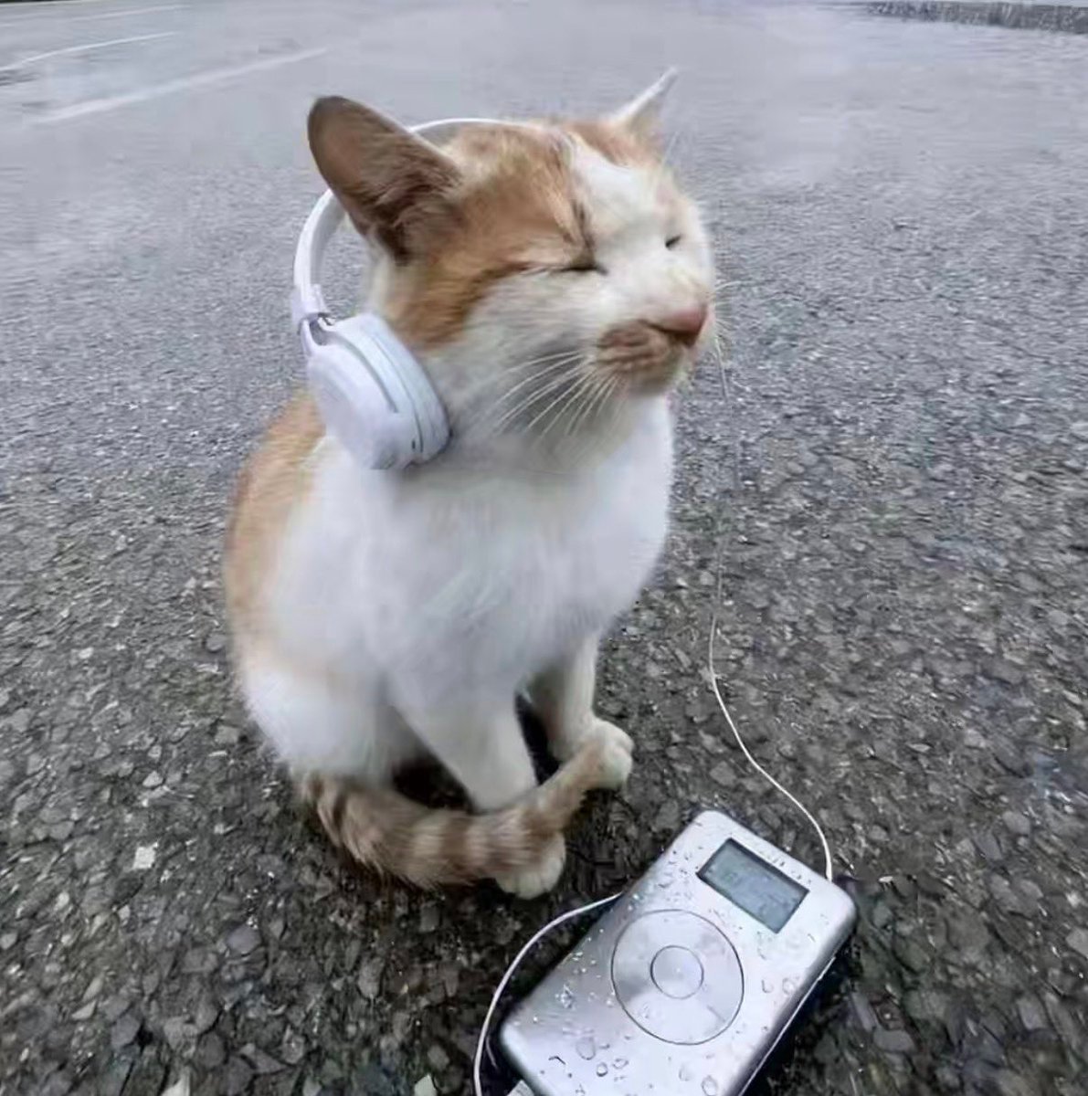 vibecat