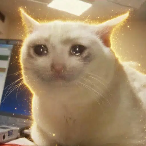 CRYINGCAT