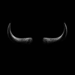 HORNS logo