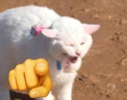 Yuki