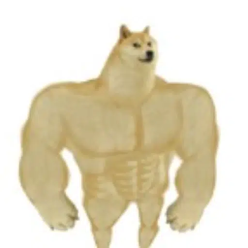 SWOGE