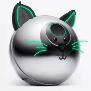 WCAT