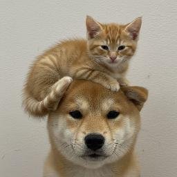 WIF