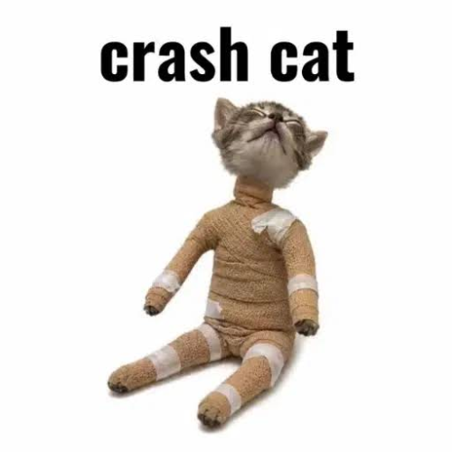 CRASHCAT logo