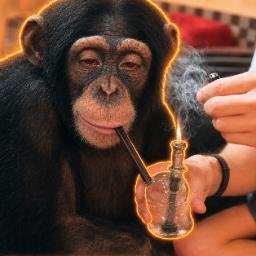 APE