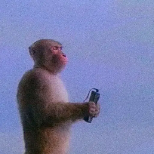 vibes