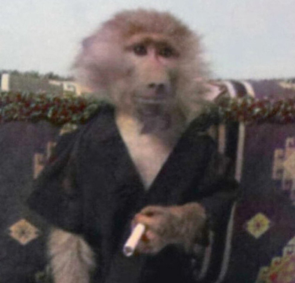 MONKE