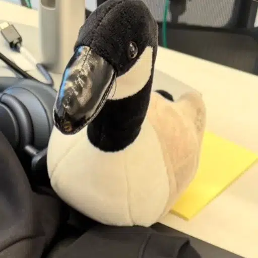 MR.GOOSE