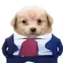 ᵇⁱᶻ