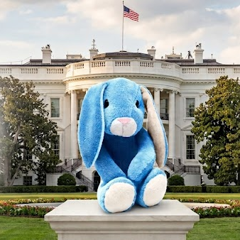 Bunny — The Blue Bunny Solana token traded by KOLs