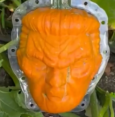 Trumpkin