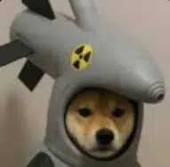 INU