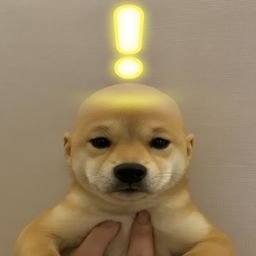 ADOG