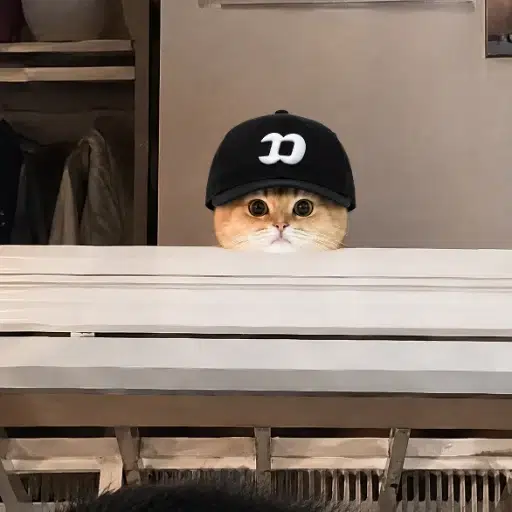 FomoCat