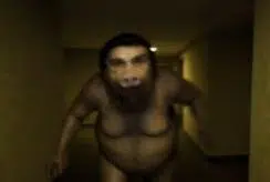 PORKROOMS