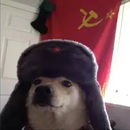 DOGGO