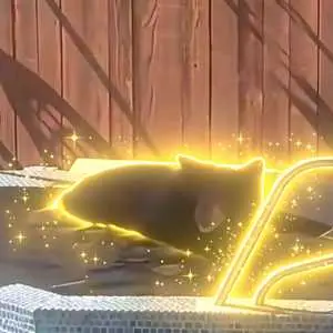 BIP