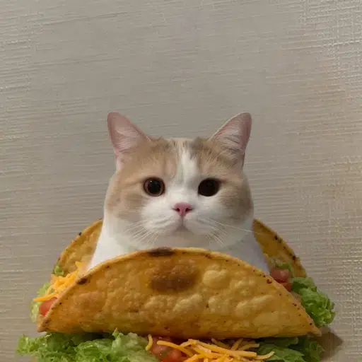 tacocat