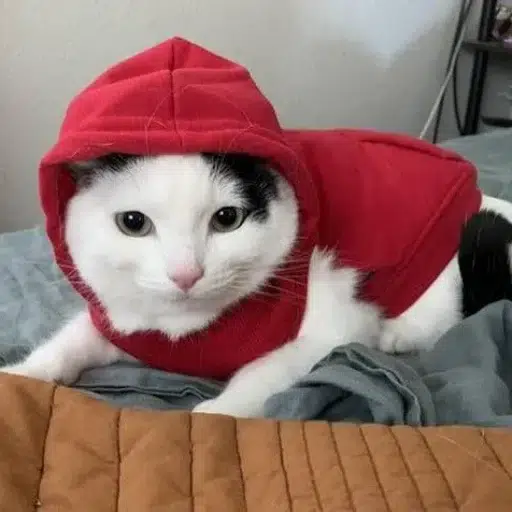 rob