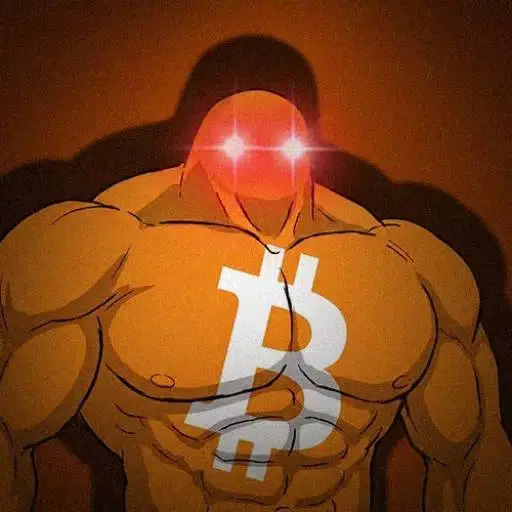 bitcoiner